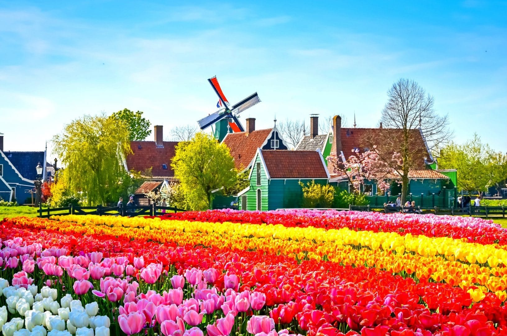 Inspirations-keukenhof-holland-travel-7-Copy-1.jpg